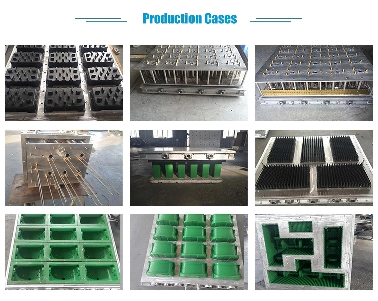 EPS Aluminium Tool Mould for Vegetable Fruit Helm Boxes
