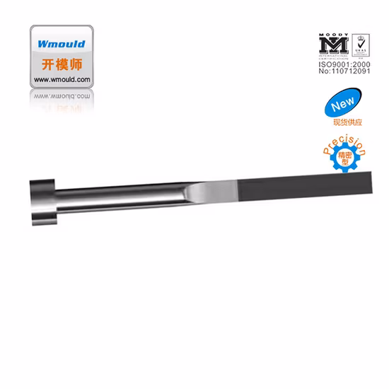 Wmould Plastic Injection Mold Parts Pre